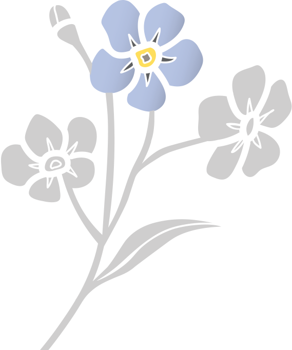 Grafik Vergissmeinnicht