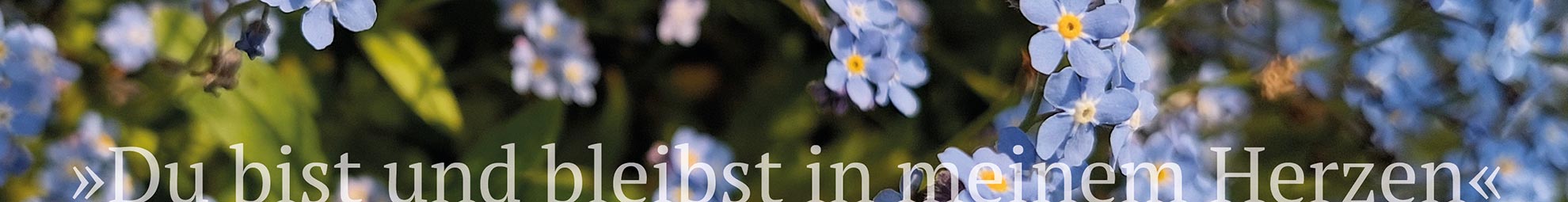 Du bist und bleibst in meinem Herzen